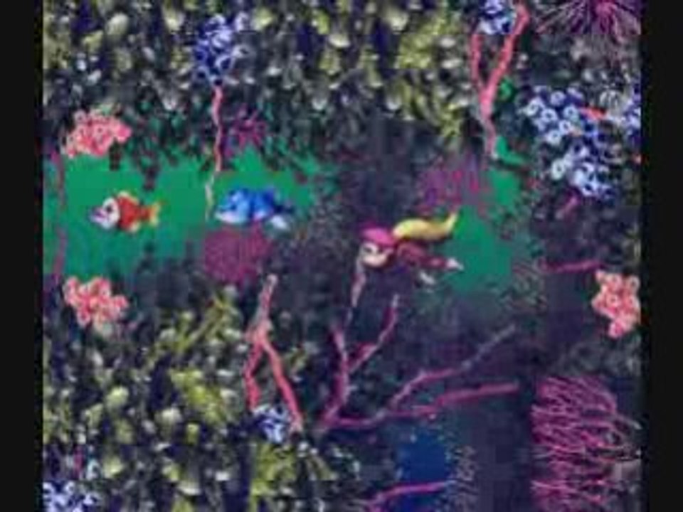 Donkey Kong Country 3 Walkthrough 7