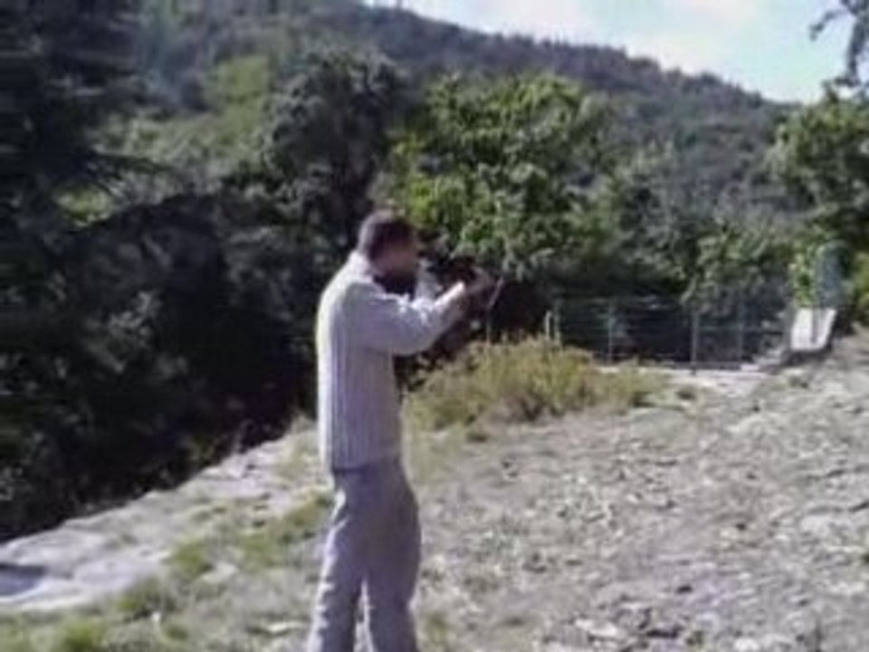 Tir280