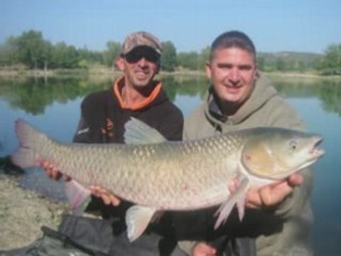 LES AMOURS BLANC de ST JEAN PLA de CORTS