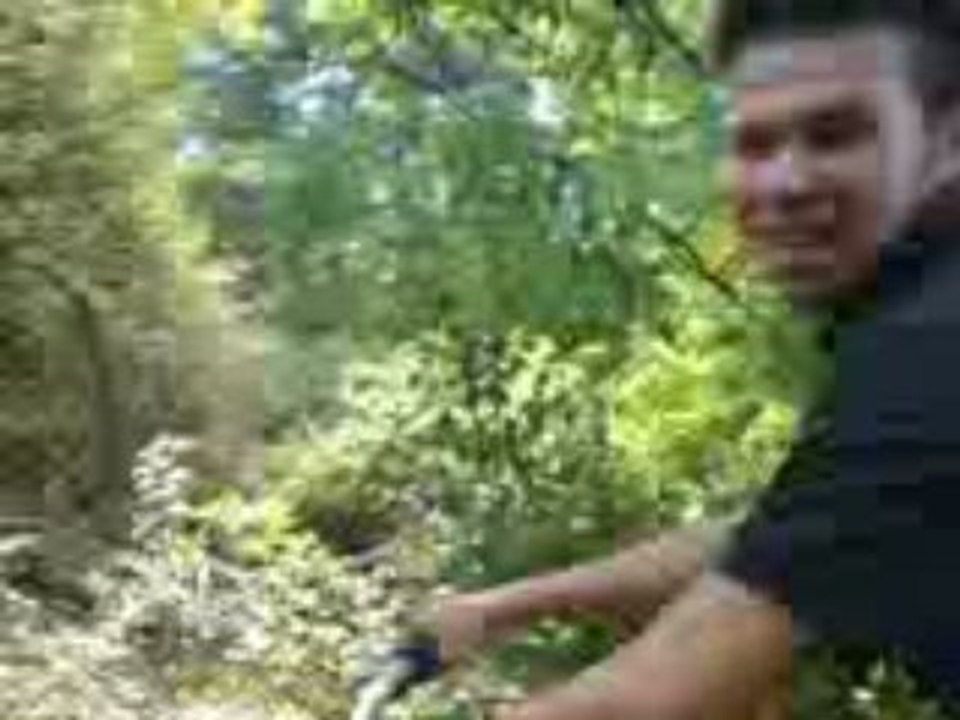 fredo en velo