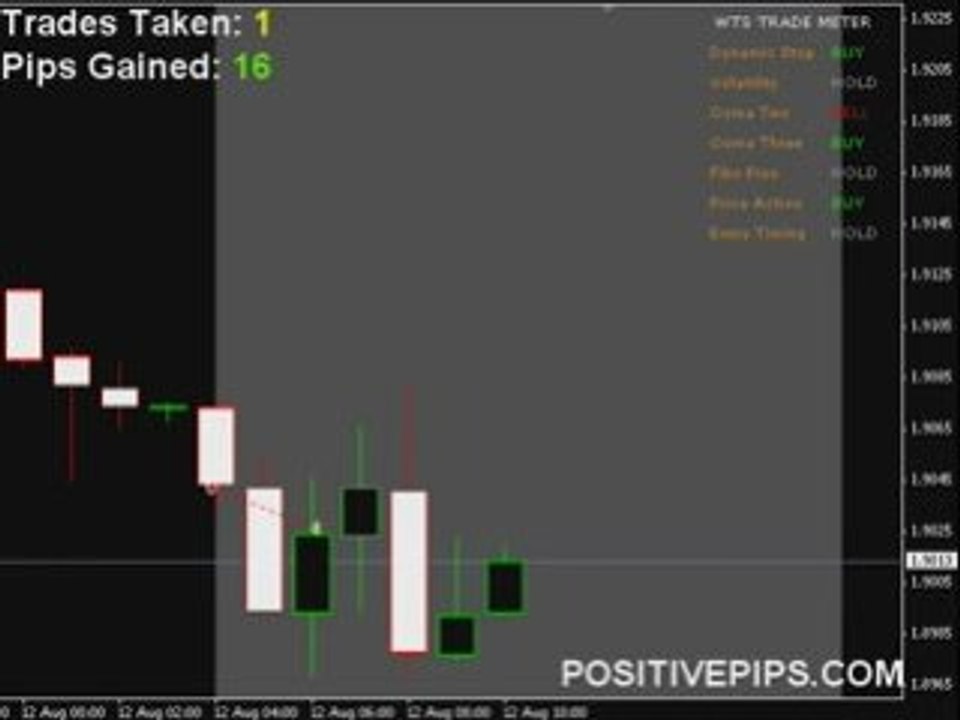 Forex Trading Signals - FREE Live Training
