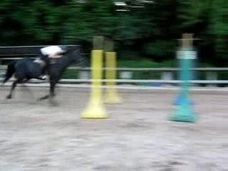 hermione branches basses