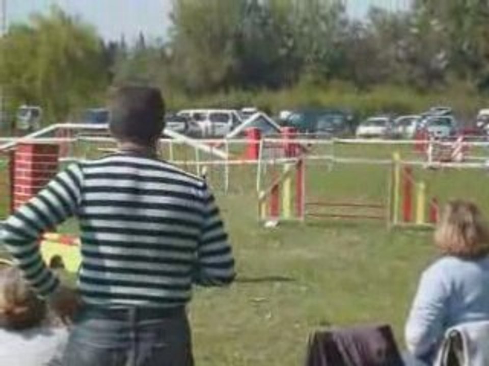 Silver Open