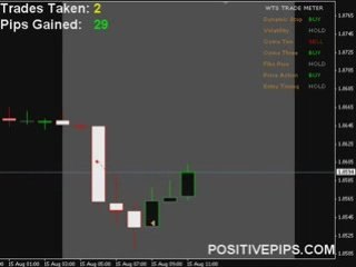 Free Forex Signals - FREE Live Training