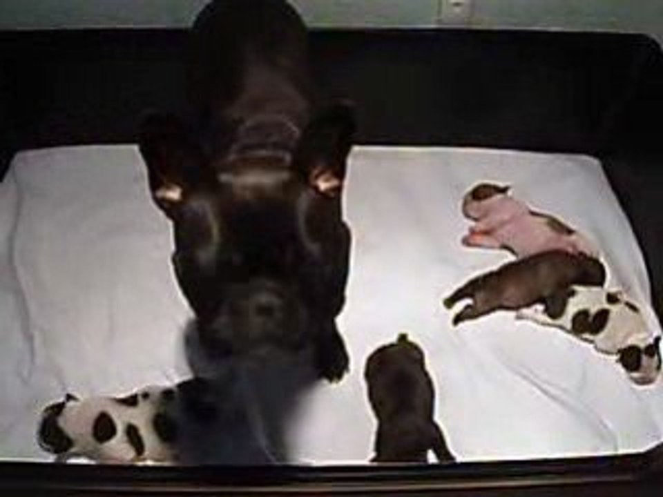 Bébé-bounty-octobre-vidéo