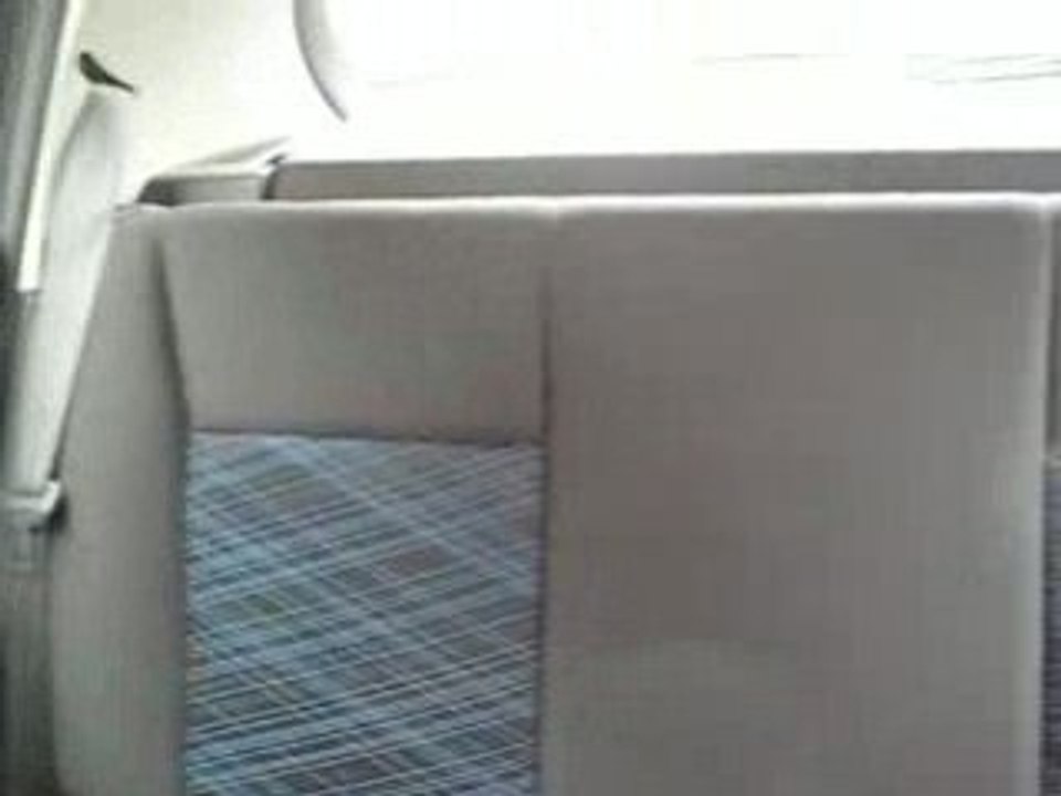 Renault-clio
