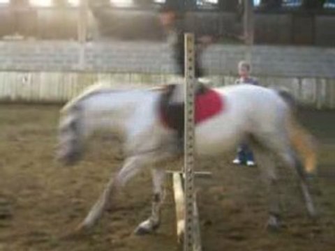 Les poneys fin d'après midi !!!