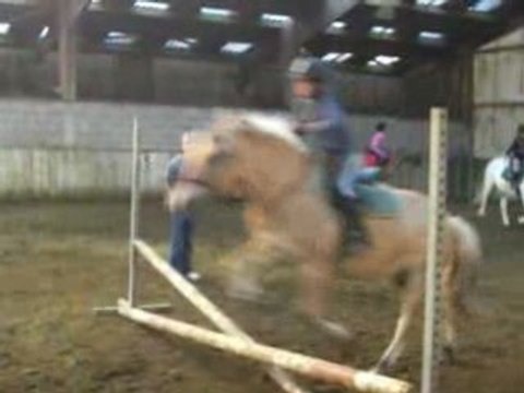 Les poneys fin d'après midi !!!