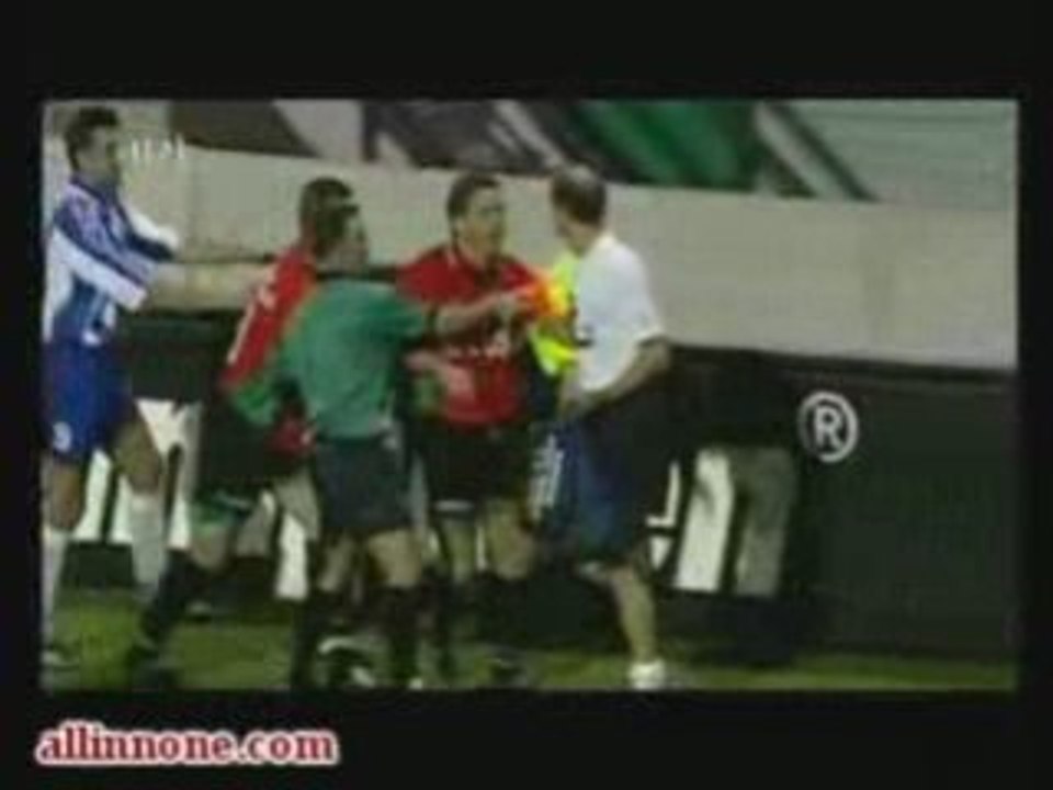 Soccer Fan Makes Save