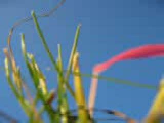 Ju Vol@Theux 16 05 04