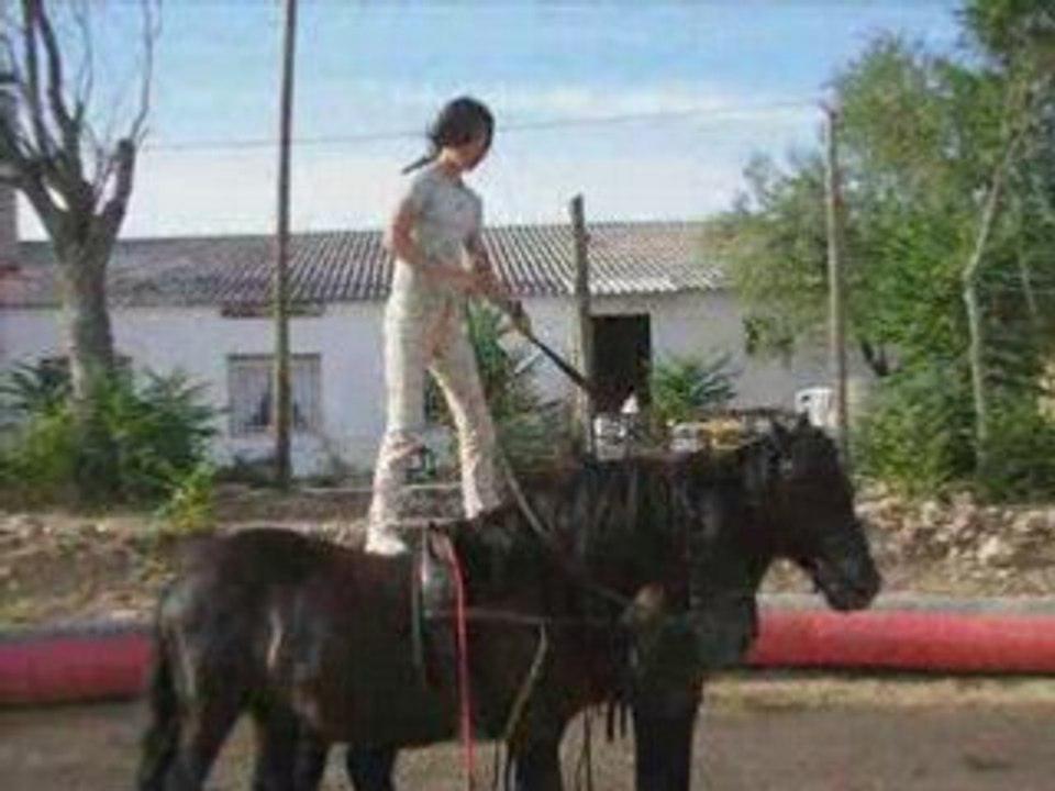 Diapo acro caval forum_0001