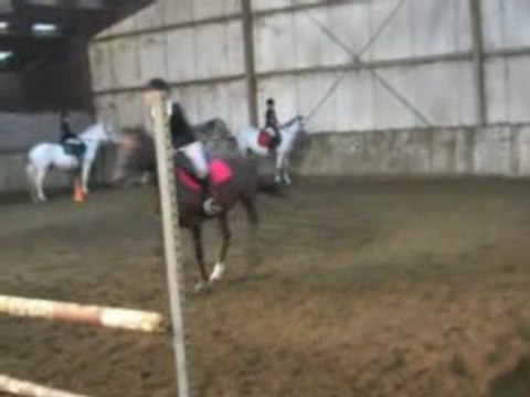 Les poneys fin d'après midi !!!