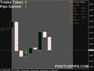 Daily Forex Signals - FREE Live Training