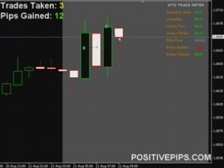 Accurate Forex Signals - FREE Live Training