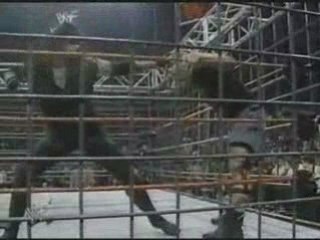 Undertaker & Austin fights in a Cage