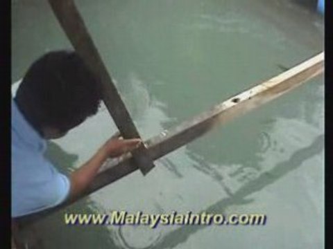 Langkawi Fish Farm , Kedah , Malaysia