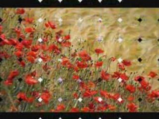 Anniversaire blog.