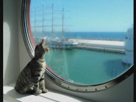 Ferry corsten everything goes