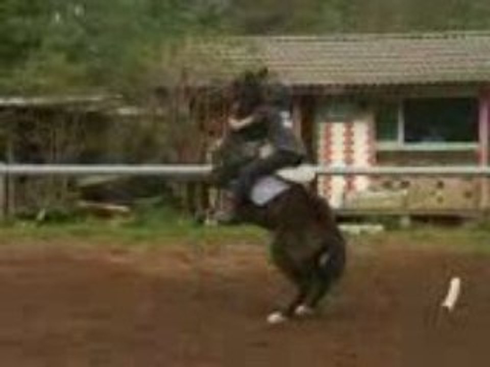 Clara et la ponette
