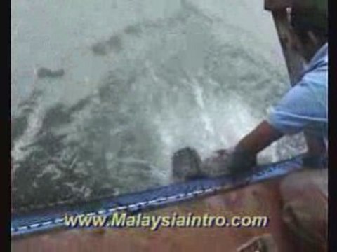 Langkawi Fish Farm Feeding , Kedah , Malaysia