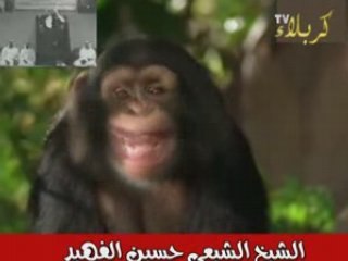 العمامه أفيون الصفويه -Les chiites- 4