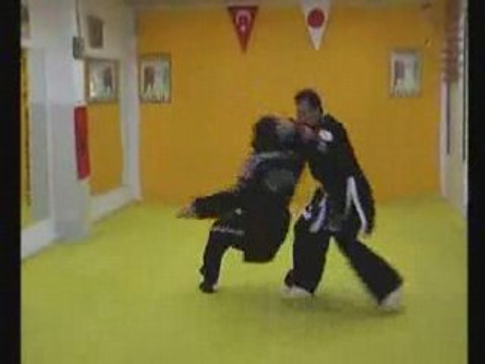 www.hapkidoankara.net (SADIK ŞAHİN)