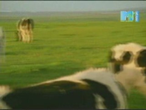 Beastie Boys vs. The Dandy Warhols - Intergalactic Friends