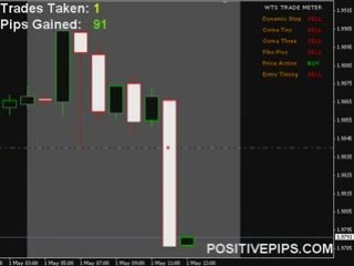 King Forex Signals - FREE Live Training