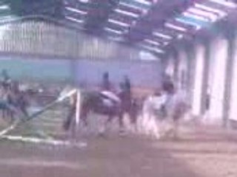 Jessica saut 1m30 avec Oby auberchicourt