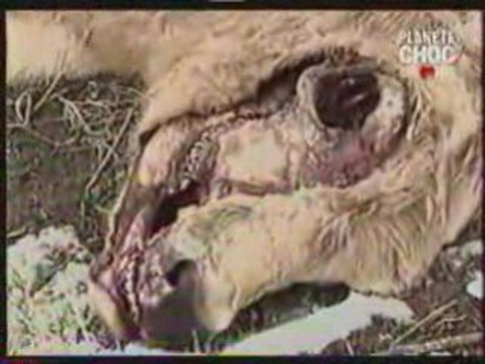 -Documentaire: Les Aliens théories du complot 2/2