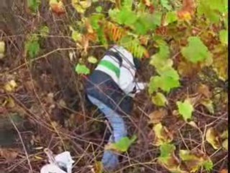 Promnons-nous dans les vignes...