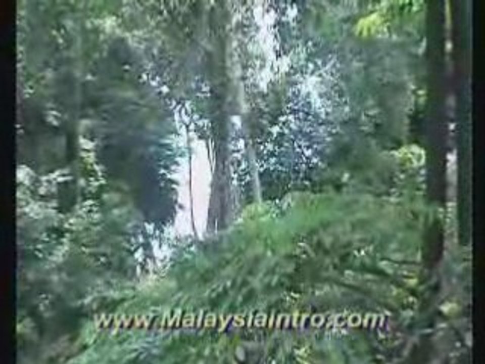 Langkawi  Hotel , Kedah , Malaysia 4