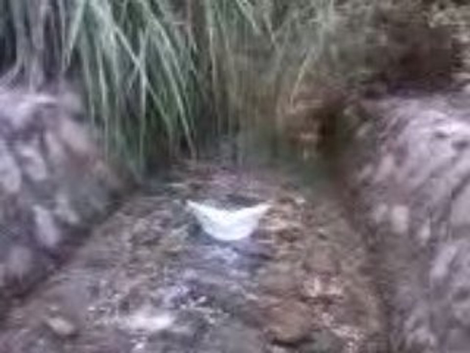 petit bateau sur l eau