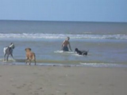 Septembre 2005 Fort Mahon Plage (4)