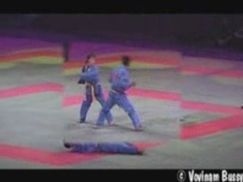 Vovinam Viet Vo Dao Démonstration Bercy Self Defense