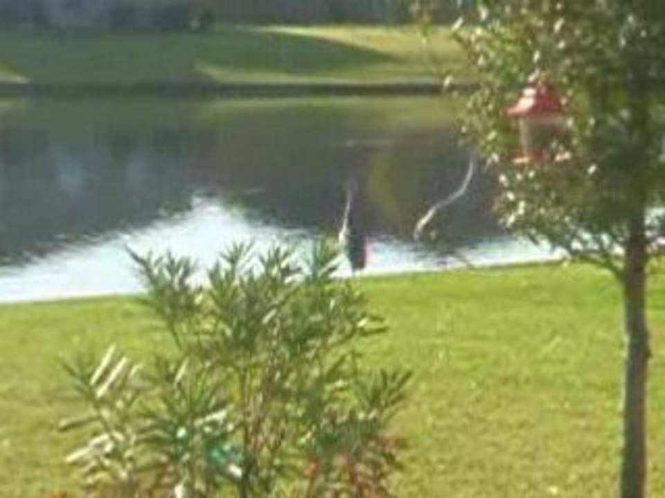 Alors?!?... Impressionnant non???