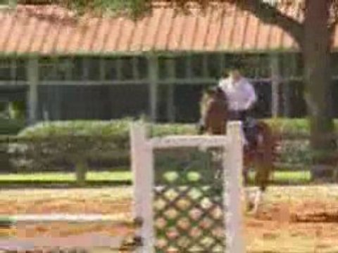 Hyatt Regency Grand Cypress Resort Video Tour