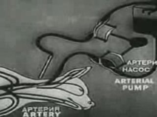 Regarder bien !!!!!!