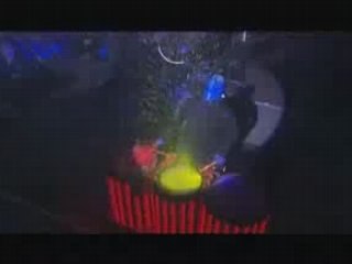 I Feel Love - Blue Man Group