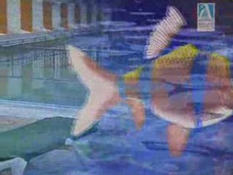 Nova Hotel Eilat - Great Eilat Hotel in Israel