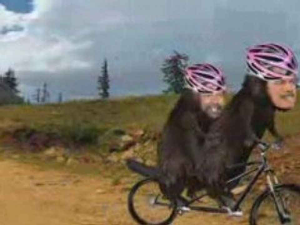 Punch: Les castors du Canada en élections - Harper, Dion...