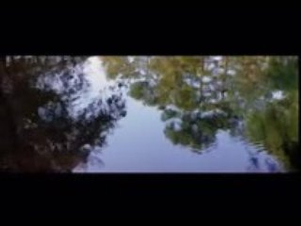 Moby - The New World