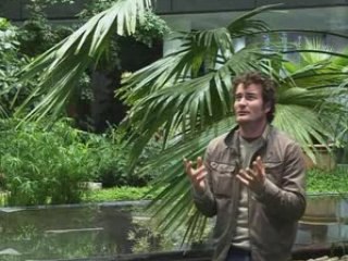 Betisier actualité en images conseil général