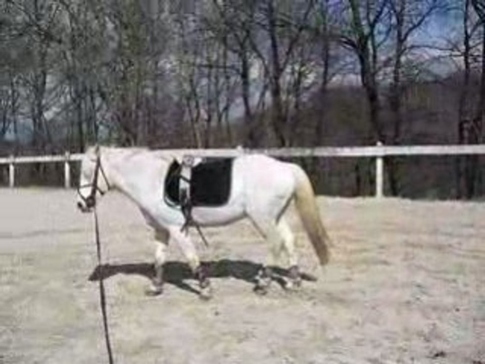 frip à la longe