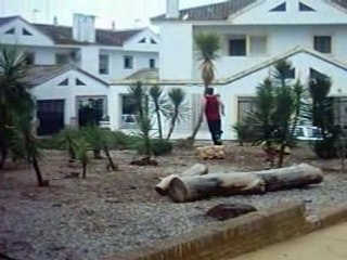 Parkour en Dos Hermanas((Sampler Ga7o $ides))2008