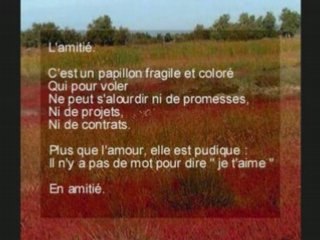 Céline dion hymne a l'amitié