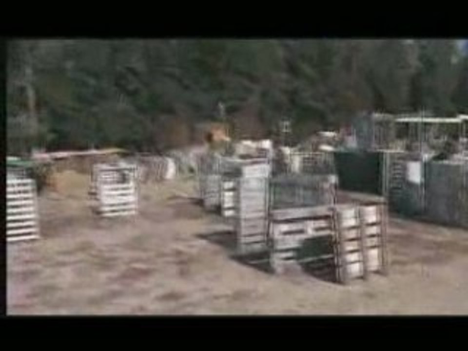 WarDay 2 opus 2 - Partie 2/3