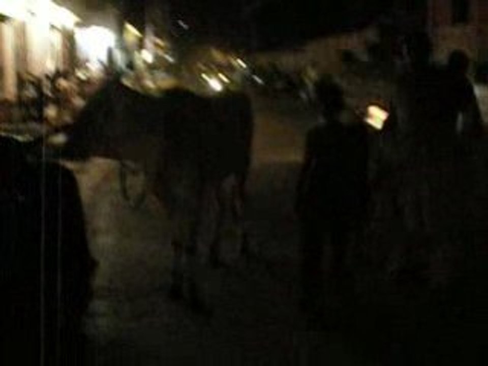 Dans les rues d'Agra