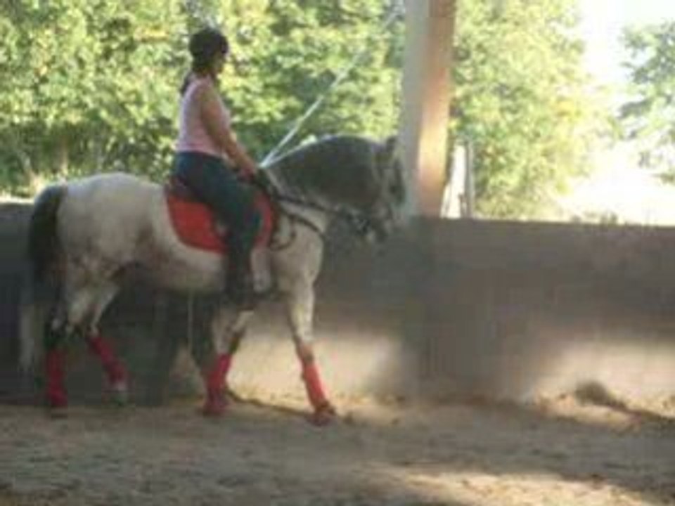 Carouselle