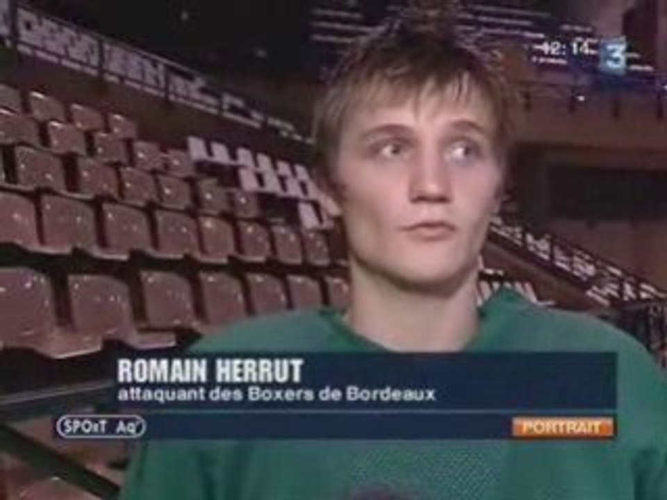 Les Boxers sur Sport'Aq